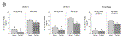 fi1445-1.gif