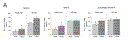 fi204b-1.gif