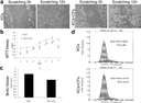 fig4.gif