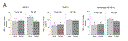 figure-2.gif