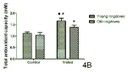 rodriguezfigure4b.jpg