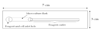 figure2.gif