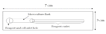 figure2.gif