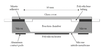 figure7.gif