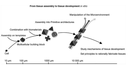 figure9.gif