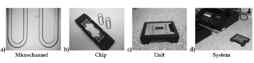 salic_fig1revised.gif