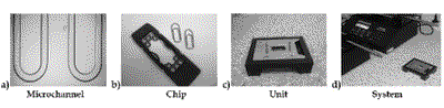 salic_fig1revised.gif