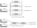 salic_fig4revised.gif