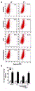 lirevi_4.gif
