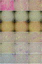 wangrevisedfig4.gif