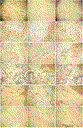 wangrevisedfig5.gif