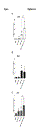 revise_1.gif
