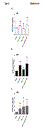 revise_2.gif