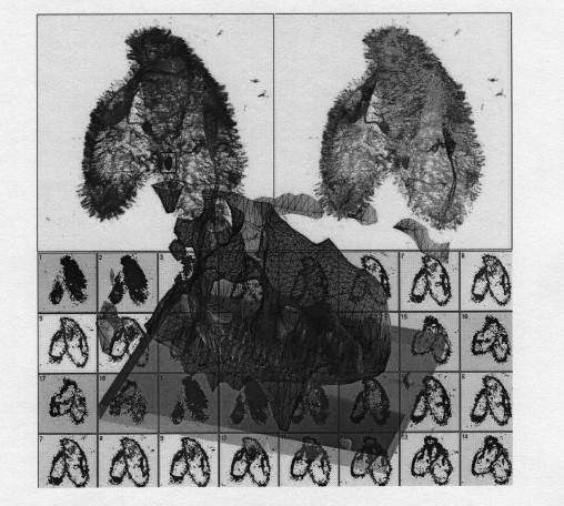 fig2martisek5_2.jpg
