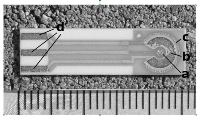 fig3pohanka.jpg fig3pohanka.jpg