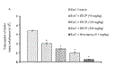 fig1a_1.gif