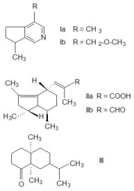 valeriana_fig1.jpg valeriana_fig1.jpg