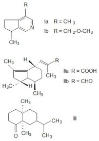 valeriana_fig1.jpg