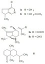 valeriana_fig1.jpg