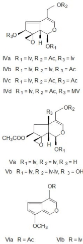 valeriana_fig2.jpg valeriana_fig2.jpg