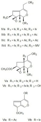 valeriana_fig2.jpg