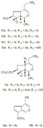 valeriana_fig2.jpg