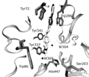 jab_soukup8_2_imprim2.gif