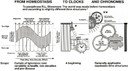 uprsr3_rhufafig3.jpg