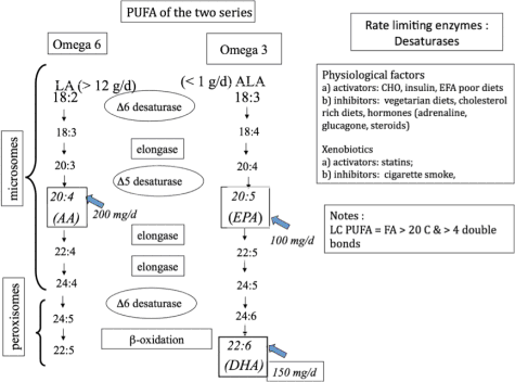 uprsr_rhufafig4.gif uprsr_rhufafig4.gif