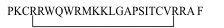 jab_rivas8_3_imprim3.gif jab_rivas8_3_imprim3.gif