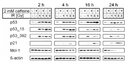 tichy_fig1.gif