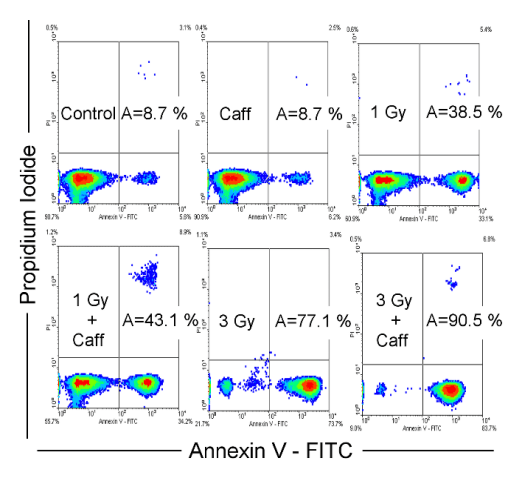 tichy_fig2.gif