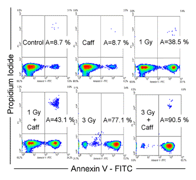tichy_fig2.gif