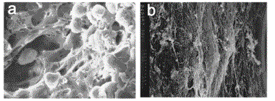 fig_1.gif