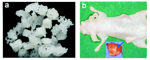 fig_2.gif fig_2.gif