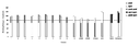 fig4_1.gif