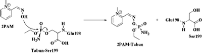 ram_novy_figure7.gif