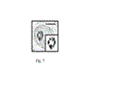 sm6c21_1.gif
