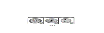 sm6c25_1.gif