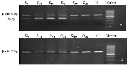 wen_18dec10_fig1.gif wen_18dec10_fig1.gif