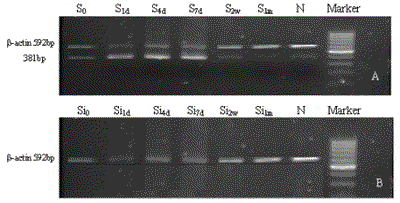 wen_18dec10_fig1.gif