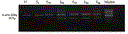 wen_18dec10_fig2.gif