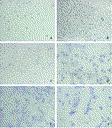 wen_18dec10_fig4.gif