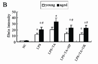 1b.gif