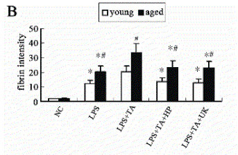 1b.gif
