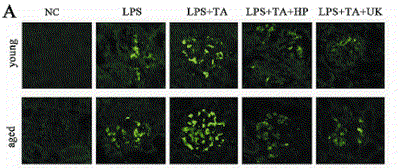 3a.gif