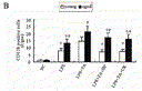 3b.gif