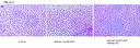 de230d_1.gif
