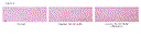 delgad_2.gif