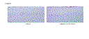 delgad_3.gif